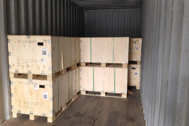 Roller chain for swamp buggy